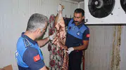 Şanlıurfa Haliliye'de sağlıksız gıdalara zabıta baskını