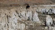 Van Gölü'ndeki dev mikrobiyalitlerin sırrı uluslararası ekiple araştırılacak