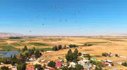Muş Ovası'nda leyleklerin büyük göç yolculuğu öncesi hazırlıkları başladı