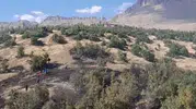 Beytüşşebap ormanlarında korkutan yangın