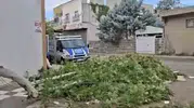 Siverek'te aniden çıkan fırtına tarım işçilerine zor anlar yaşattı