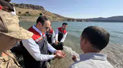 Şırnak Ilısu Baraj Gölü'ne 800 bin yavru balık bırakıldı