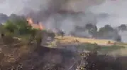 Çüngüş ilçesinde çıkan yangın üzüm bağlarını küle çevirdi