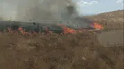 Bingöl Havalimanı Kavşağında çıkan anız yangını ekiplerce söndürüldü