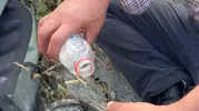 Elazığ'da yangından kaçan kaplumbağaya vatandaşlar sahip çıktı