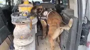 Elazığ'da iş makinesine gizlenmiş uyuşturucu operasyonu