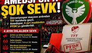 Amedspor’a ağır fatura! TFF 4 maddeden disipline gönderdi