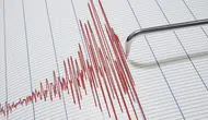 Malatya’da gece yarısı korkutan deprem! Pütürge sallandı