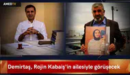 Demirtaş, Rojin Kabaiş'in ailesiyle görüşecek: Gündemde dosyadaki son gelişmeler var