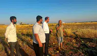 DEM Parti'den Urfa'daki sulama krizine tepki: "Çiftçi ayakta kalmazsa ülke de ayakta kalmaz"