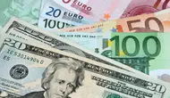 Dolar ve Euro bugün kaç TL? 21 Ağustos 2026 güncel döviz kurları