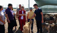 Eşbaşkan Bucak, Doğal Yaşam Alanı’ndaki canlıları inceledi
