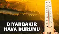 Diyarbakır'da sıcaklık alarmı: Termometreler 43 dereceyi gördü, uzmanlardan kritik uyarı