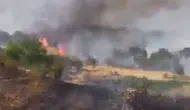 Diyarbakır’da yerleşim yakınında yangın: Üzüm bağları zarar gördü