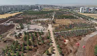 Diyarbakır’ın en büyük parkında çalışmalar yüzde 55’e ulaştı