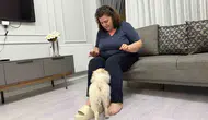 Aydın'dan alınan köpek Mardinli ailenin kabusu oldu