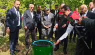 Adilcevaz cevizinde hasat dönemi Vali Karakaya ile başladı