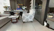 Batman'da bir matbaa kapılarını sokak kedilerine açarak yuva oldu
