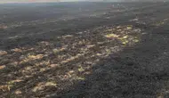 Kovancılar'da tarım arazisinde çıkan yangın korkuttu