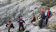 Tunceli'de sarp kayalıklarda mahsur kalan keçiler AFAD tarafından kurtarıldı