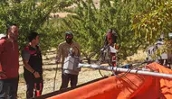 Ağın ilçesindeki badem bahçelerinde hasat öncesi denetim yapıldı