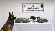 Bingöl Jandarması bir haftalık operasyonlarda suçlulara göz açtırmadı