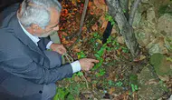 Bitlis'te bir bahçede üç benekli semender sürprizi yaşandı