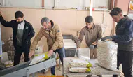 Bitlis tohumluk kuru fasulye üretiminde Türkiye genelinde zirveye yerleşti