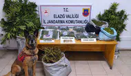 Elazığ kırsalında uyuşturucu operasyonu düzenlendi