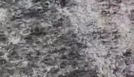 Elazığ Palu'da şiddetli yağış sele dönüştü