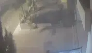 Mardin’de devrilen ağaçtan 10 saniyeyle kurtuldu: O anlar kamerada