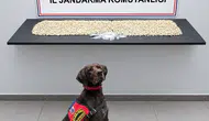 Şanlıurfa Eyyübiye'de büyük uyuşturucu operasyonu