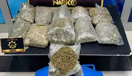Siirt'te narkotik operasyonu: 5 kilo 700 gram skunk ele geçirildi