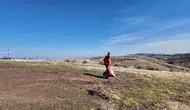 Elazığ Belediyesi kış yaklaşırken sokak hayvanları için harekete geçti