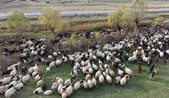 Göçerlerin Van’dan Siirt’e zorlu dönüş yolculuğu başladı