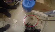 Diyarbakırda demir profile sıkışan yavru kedi itfaiye ekiplerince kurtarıldı