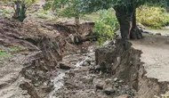 Elazığ Beydoğmuş köyünde aşırı yağışlar yolları ve tarım arazilerini vurdu