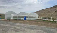 Cizre'de devlet destekli seralar tarımsal üretimi güçlendiriyor