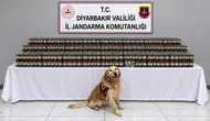 Diyarbakır genelinde düzenlenen kaçakçılık operasyonlarında 29 kişi yakalandı