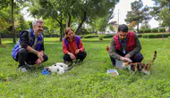 Diyarbakır sokak hayvanları için seferber oldu