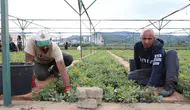 Bingöl'deki fidanlıkta 18 farklı türde üretim yapılıyor