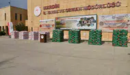 Mardinli çiftçilere 146 ton tohum desteği sağlandı