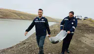 Van su ürünleri sektörüyle ekonomisine yıllık 25 milyon dolar kazandırıyor