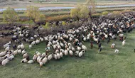Van ve Bitlis yaylalarından göçerlerin zorlu dönüş yolculuğu başladı