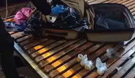 Şanlıurfa'da yolcu otobüsünde kazağa gizlenmiş uyuşturucu hap yakalandı