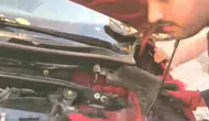 Diyarbakırda otomobilin motoruna sığınan üç yavru kedi kurtarıldı