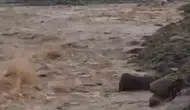 Diyarbakır Çermik'te şiddetli yağışlar menfezleri yıktı