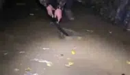 Hazar Gölü kıyısında kamp yapanlar fırtınaya hazırlıksız yakalandı