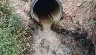 Çermik halkı Sinek Çayı kirliliğine karşı bakanlığa başvurdu