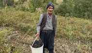 Diyarbakır Çüngüş ilçesinde aronya meyvesi hasadı başladı